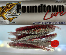 Load image into Gallery viewer, Pound Town Lure Minnows
