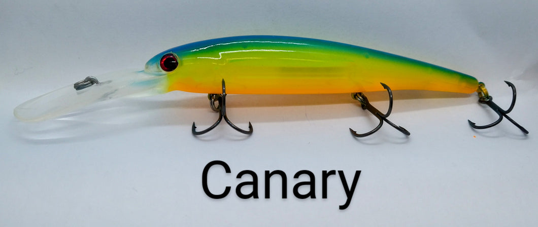 JT Custom Bandits
